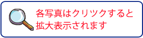 写真はクリックで拡大